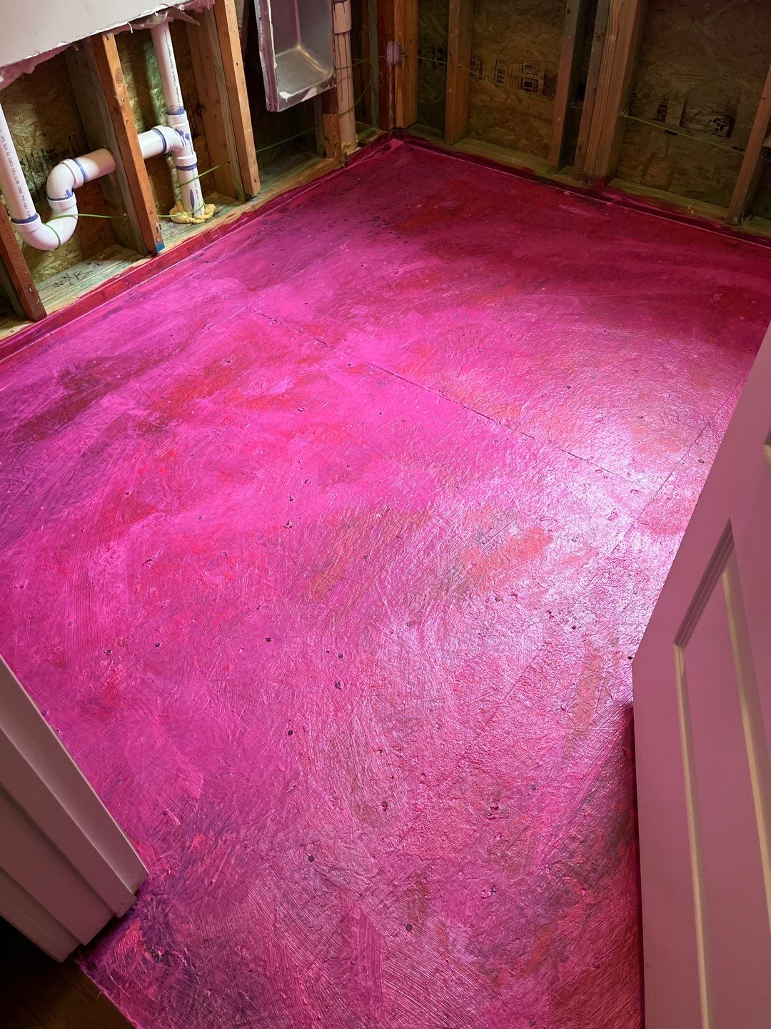 Water Mitigation Santa Rosa Beach