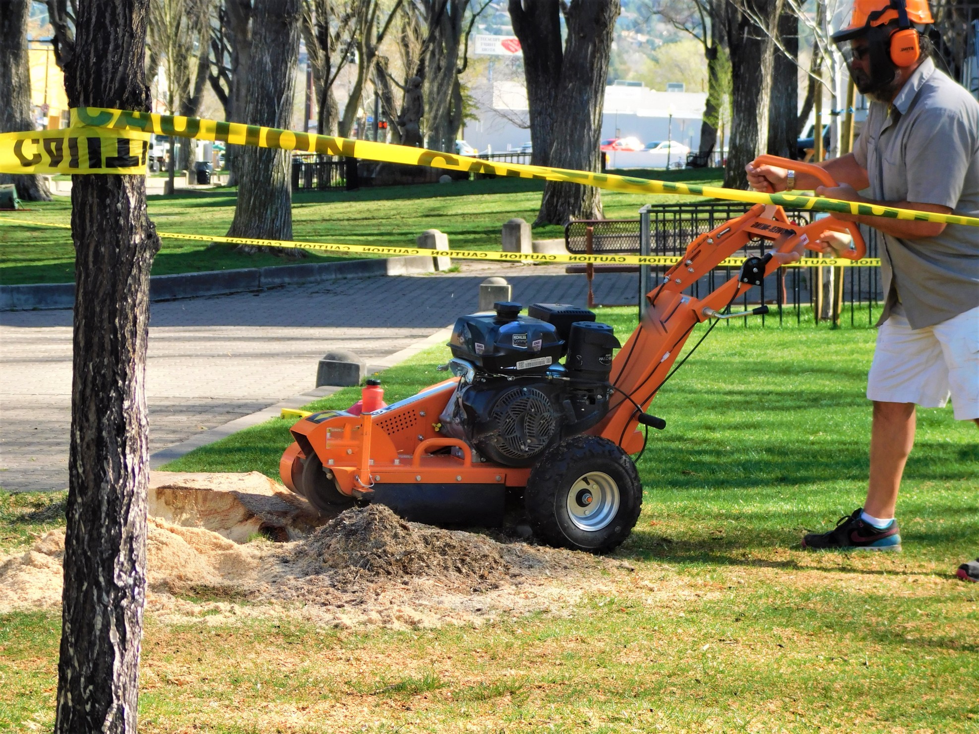 Tree stump grinding